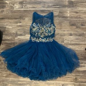 Never worn prom/pageant dress